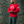 Flag Sweatshirt - Red